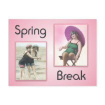 Vintage Spring Break Beach Babes Postcard