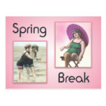 Vintage Spring Break Beach Babes Postcard