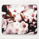 Vintage Spring Mousepad