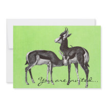 Vintage Springbok Invitations