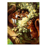 Vintage Squirrels Postcard