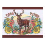 Vintage Stag Post Card