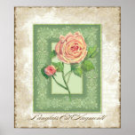 Vintage Style Floral - Pink English Rose w Brocade posters