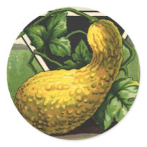 Vintage Summer Squash Seed Packet Label Art Round Stickers