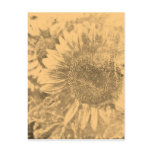 Vintage Sunflower artwork #2 - postcards
