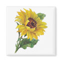 Vintage Sunflower Magnets