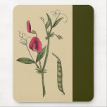 Vintage Sweet Pea Flowers Mousepad