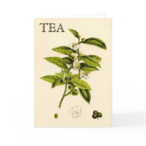 Vintage Tea Plant Greeting Cards