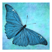 Vintage Teal Blue Butterfly1800s Illustration Custom Invitation