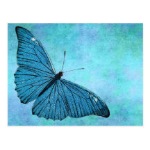 Vintage Teal Blue Butterfly1800s Illustration Postcard