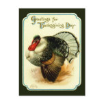 Vintage Thanksgiving Day Turkey Postcard