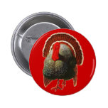 Vintage Thanksgiving Turkey Buttons