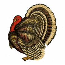Vintage Thanksgiving Turkey Pin Cut Outs