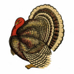 Vintage Thanksgiving Turkey Pin photo sculptures