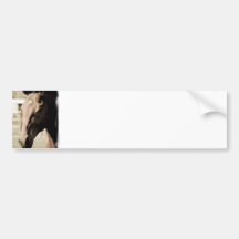 Vintage Thoroughbred Bumper Stickers