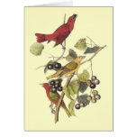 Vintage Three Birds On a Berry Vine Greeting Card
