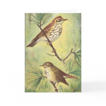 Vintage Thrushes Greeting Card