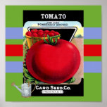 Vintage Tomato Seed Poster posters