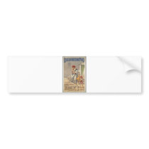Vintage Travel Poster Ad Retro Prints Bumper Sticker