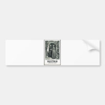 Vintage Travel Poster Ad Retro Prints Bumper Sticker