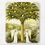 Vintage Tree of Life Christian Illustration 1892