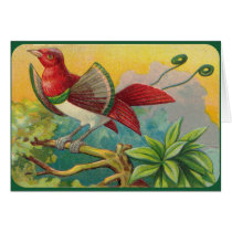 Vintage Tropical Bird Print Card