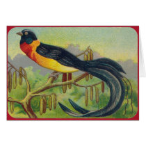 Vintage Tropical Bird Print Card