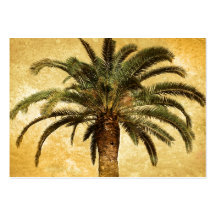 Vintage Tropical Palm Tree Business Card Templates