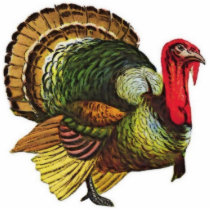 Vintage Turkey Illustration Sculpture Photo Cut Outs