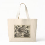 Vintage Turtle Etching bags
