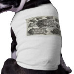 Vintage Turtle Etching pet clothing