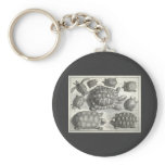 Vintage Turtle Etching keychains