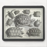 Vintage Turtle Etching mousepads