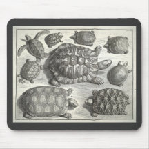 Vintage Turtle Etching Mousepad