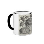 Vintage Turtle Etching Mugs