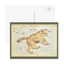 Vintage Ursa Major Constellation; Great Bear