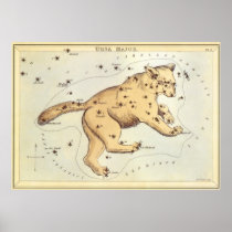 Vintage Ursa Major Constellation; Great Bear