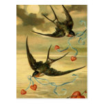 Vintage Valentine Barn Swallows With Hearts Postcard