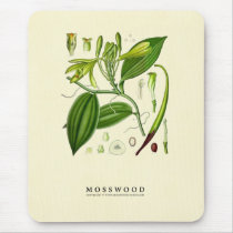Vintage Vanilla Pod Specimen Mouse Mats