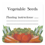 Vintage Vegetables Custom Seed or Canning Label stickers