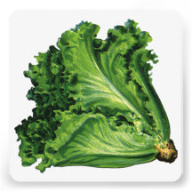 Vintage Vegetables; Green Leaf Lettuce Personalized Invite