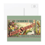 Vintage Vick's Choice Seeds Packet postcards