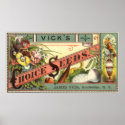 Vintage Vick's Choice Seeds Packet posters