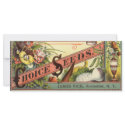Vintage Vick's Choice Seeds Packet rack cards