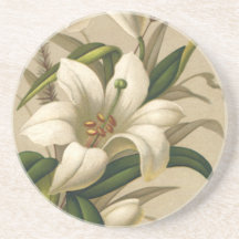 Vintage Victorian Easter Lily Flowers in Bloom Beverage Coaster
