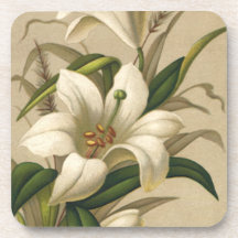 Vintage Victorian Easter Lily Flowers in Bloom Coasters