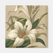 Vintage Victorian Easter Lily Flowers in Bloom Fridge Magnets