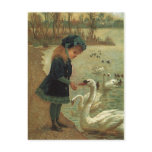 VINTAGE VICTORIAN Feeding Trumpeter Swans POSTCARD