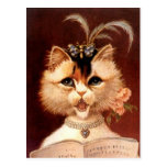 Vintage Victorian Partor Cat in Jewels Postcard