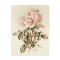 Vintage Victorian Romantic Roses Post Cards